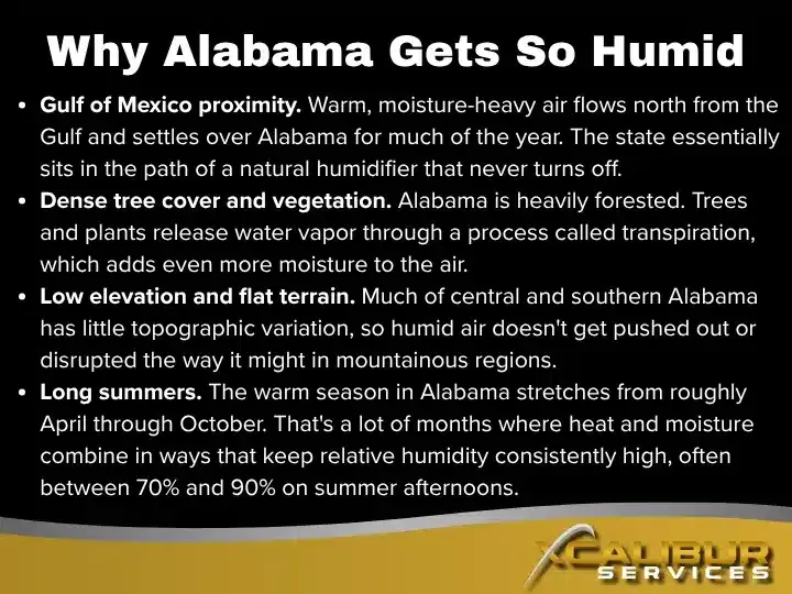 Infographic titled 'Why Alabama Gets So Humid' featuring four bullet points. Gulf of Mexico proximity: warm, moisture-heavy air flows north from the Gulf and settles over Alabama for much of the year, and the state essentially sits in the path of a natural humidifier that never turns off. Dense tree cover and vegetation: Alabama is heavily forested, and trees and plants release water vapor through a process called transpiration, which adds even more moisture to the air. Low elevation and flat terrain: much of central and southern Alabama has little topographic variation, so humid air doesn't get pushed out or disrupted the way it might in mountainous regions. Long summers: the warm season in Alabama stretches from roughly April through October, with heat and moisture combining in ways that keep relative humidity consistently high, often between 70% and 90% on summer afternoons. Branded with the Xcalibur Services logo