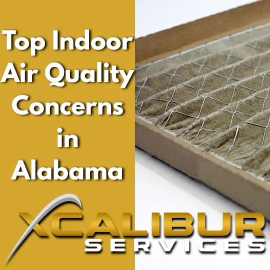 Top Indoor Air Quality Concerns in Alabama, Dirty Air Filter, Xcalibut Services
